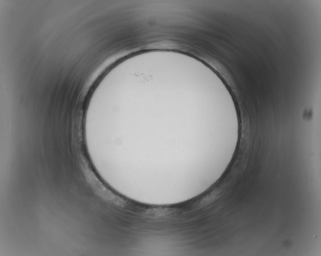 X0000111611000200908141249