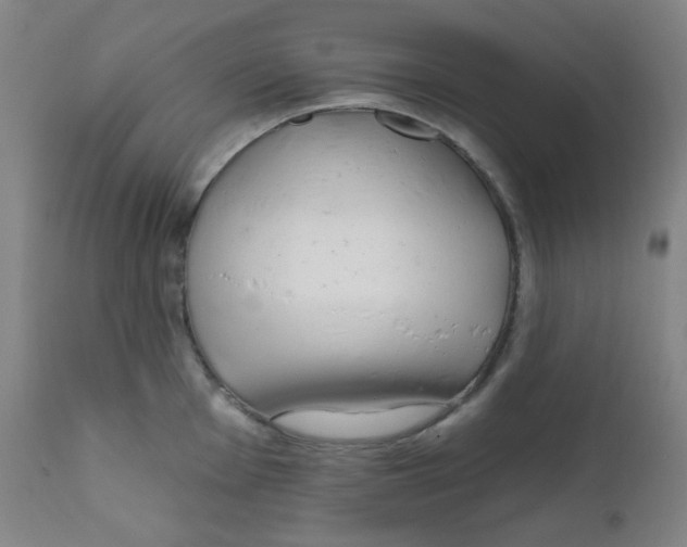 X0000111611001200908141249