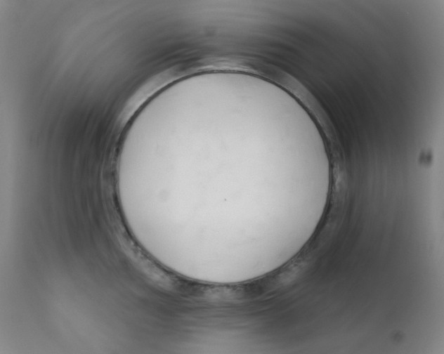 X0000111611002200908141249