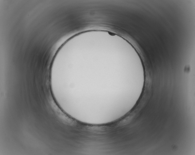 X0000111611004200908141249