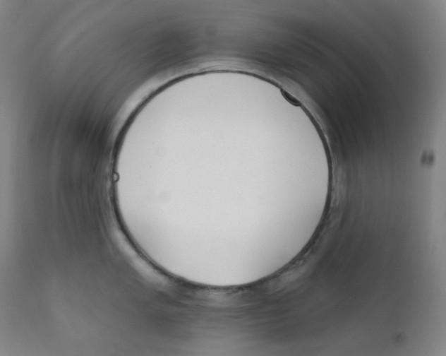 X0000111611005200908141249