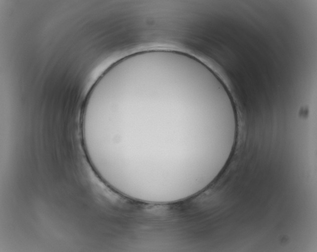 X0000111611006200908141249