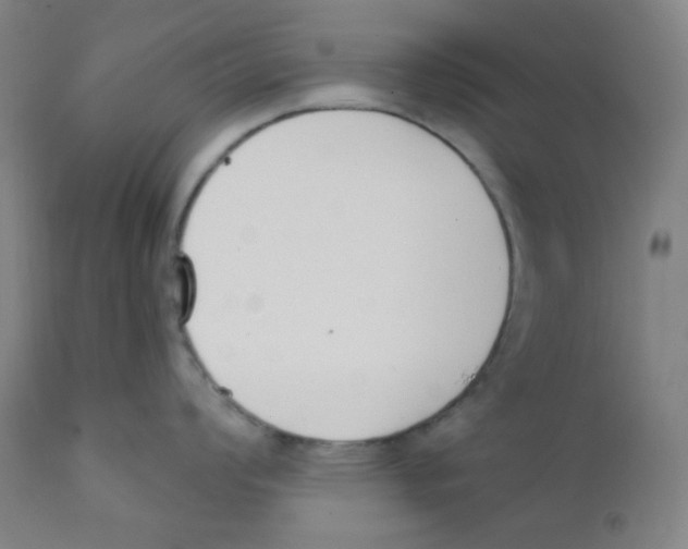 X0000111611008200908141249