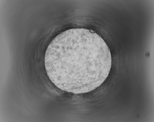 X0000111611009200908141248