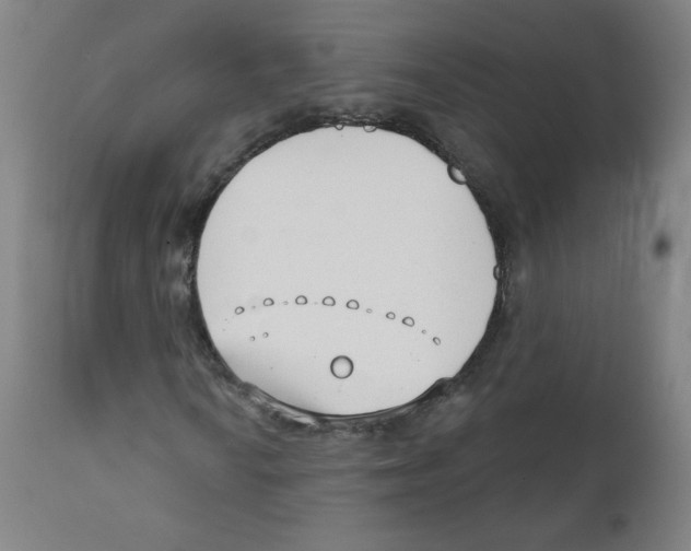 X0000111611010200908141248