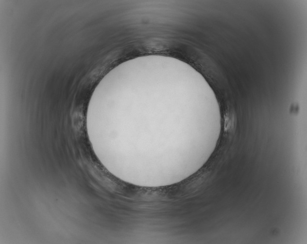 X0000111611011200908141248