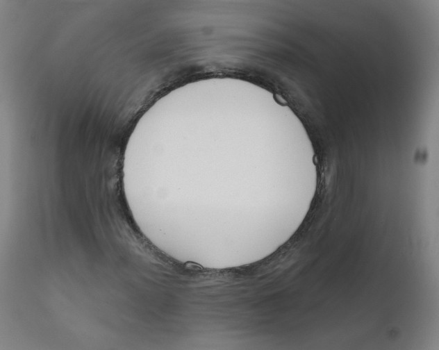 X0000111611012200908141248
