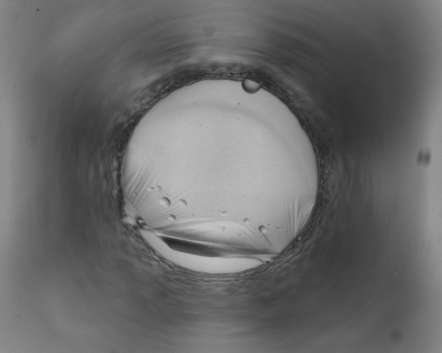 X0000111611013200908141248