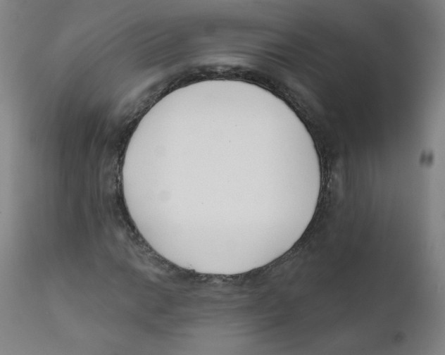 X0000111611014200908141248
