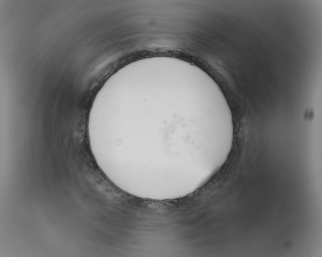 X0000111611015200908141248