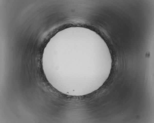 X0000111611016200908141248