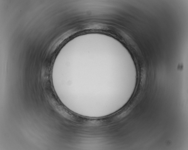 X0000111611017200908141248