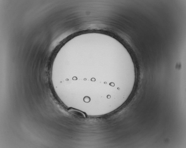 X0000111611018200908141248