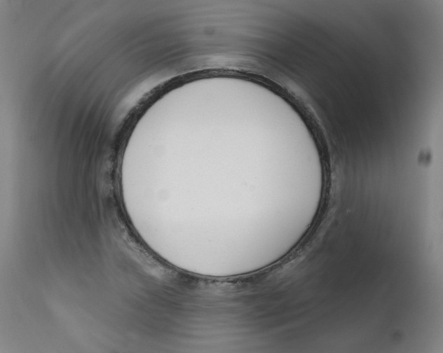 X0000111611019200908141248
