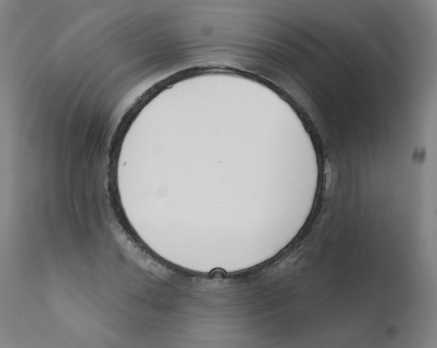 X0000111611020200908141248
