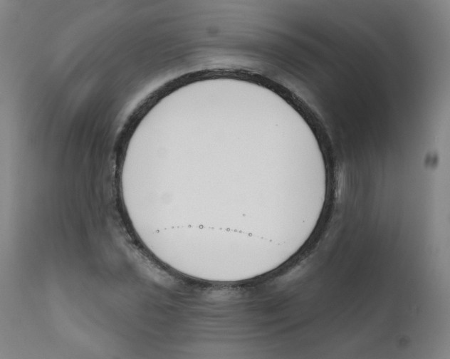 X0000111611021200908141248