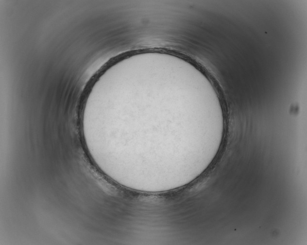 X0000111611023200908141248