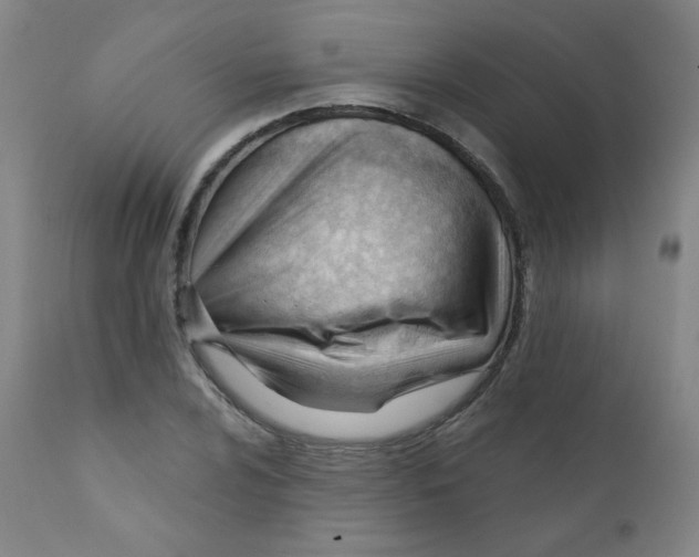 X0000111611024200908141248