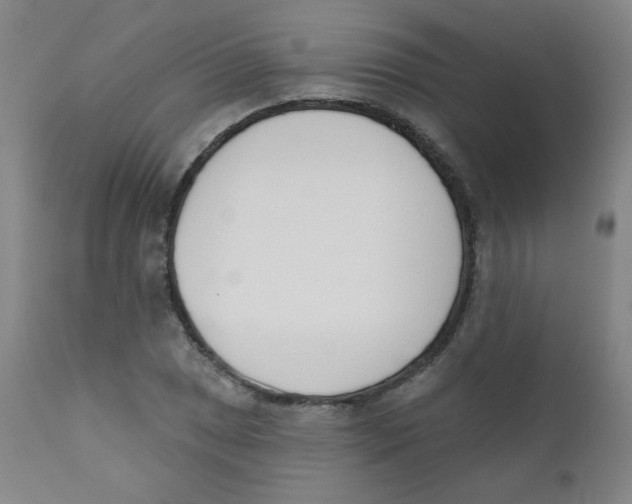 X0000111611025200908141248