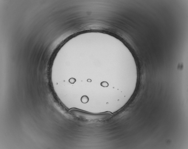 X0000111611026200908141248