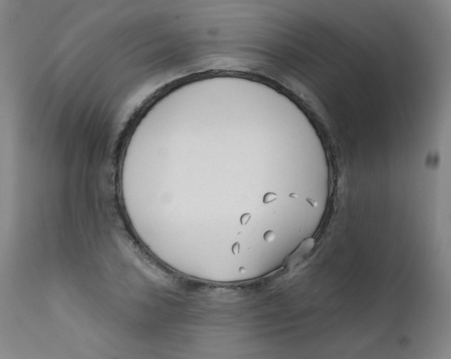 X0000111611027200908141248