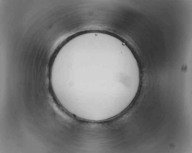 X0000111611030200908141248