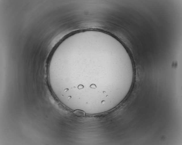 X0000111611031200908141248