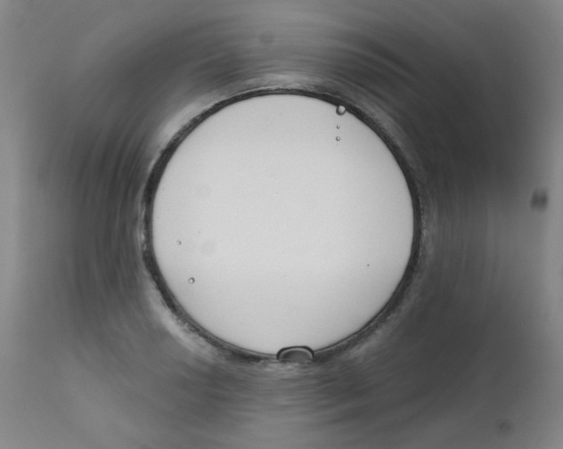 X0000111611034200908141248