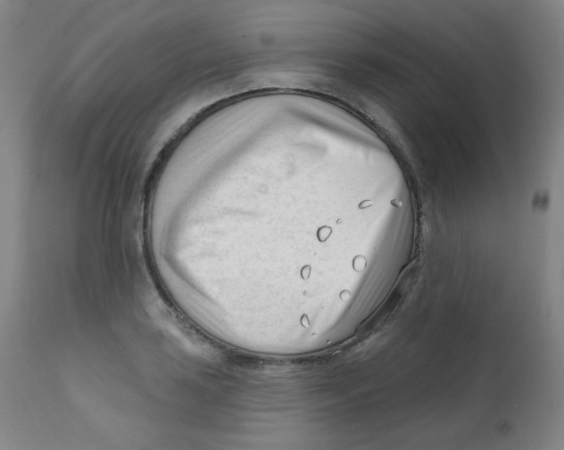 X0000111611035200908141248
