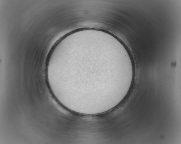 X0000111611037200908141249