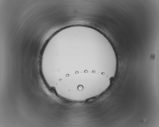 X0000111611038200908141249