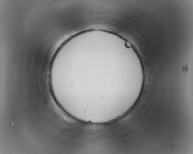 X0000111611040200908141249