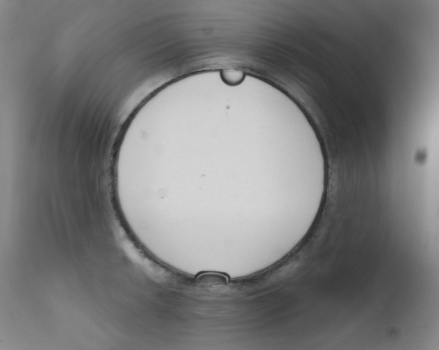 X0000111611042200908141249