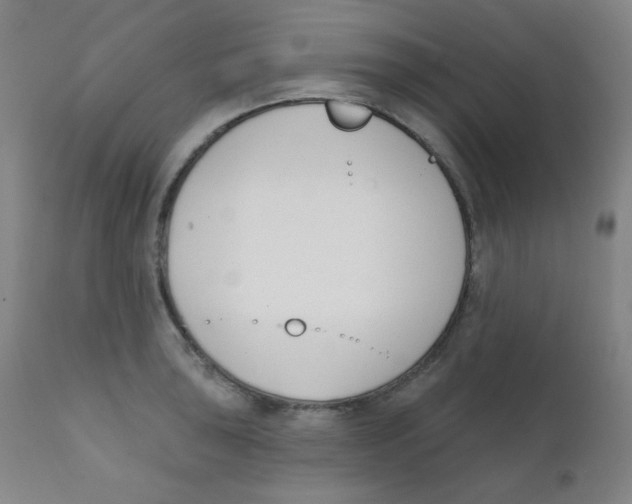 X0000111611043200908141249
