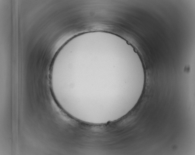 X0000111611047200908141249