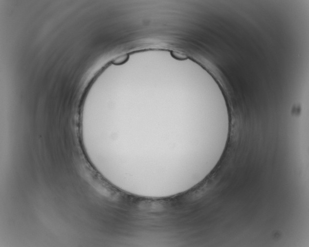 X0000111611051200908141249