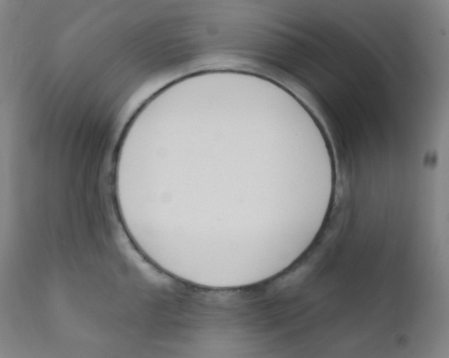 X0000111611053200908141249