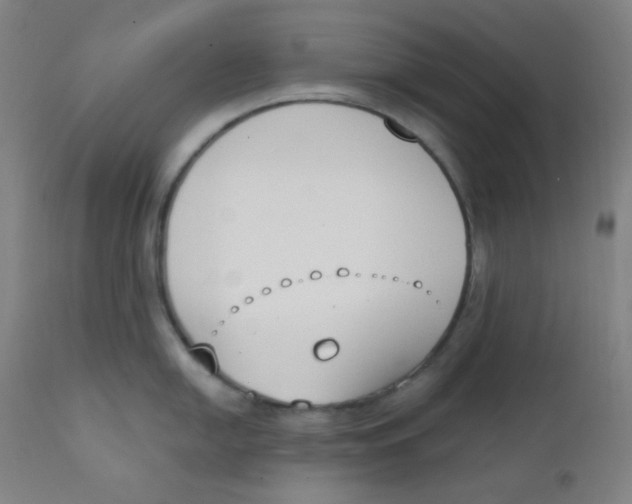 X0000111611054200908141249