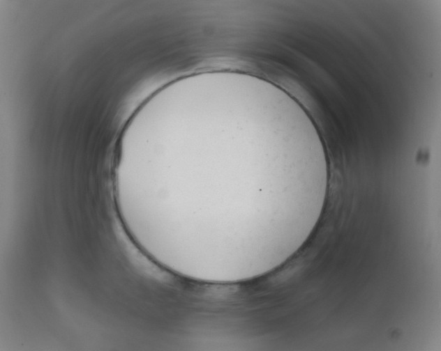 X0000111611055200908141249