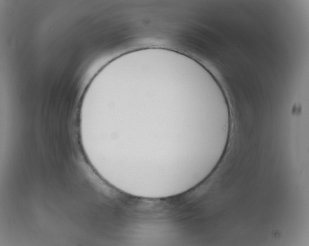 X0000111611056200908141249
