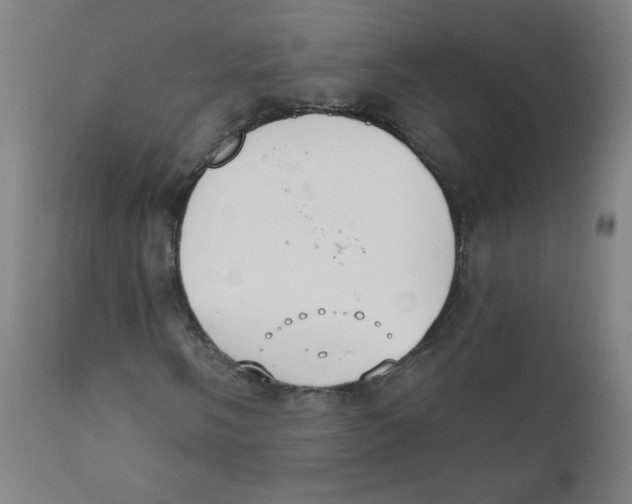 X0000111611058200908141248