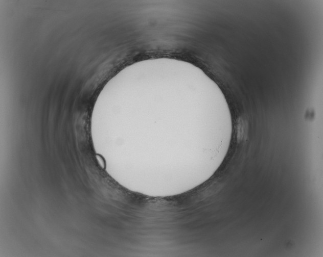 X0000111611059200908141248