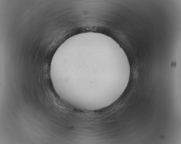 X0000111611060200908141248