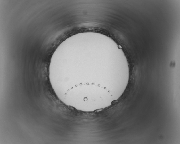 X0000111611062200908141248