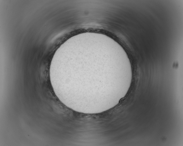 X0000111611063200908141248