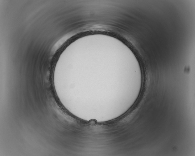 X0000111611066200908141248