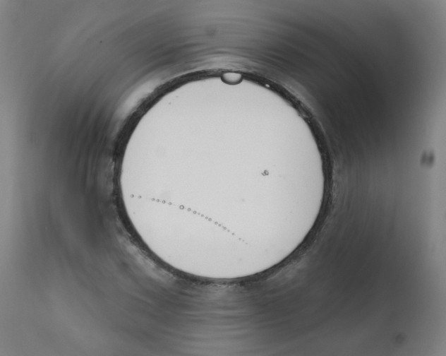 X0000111611067200908141248