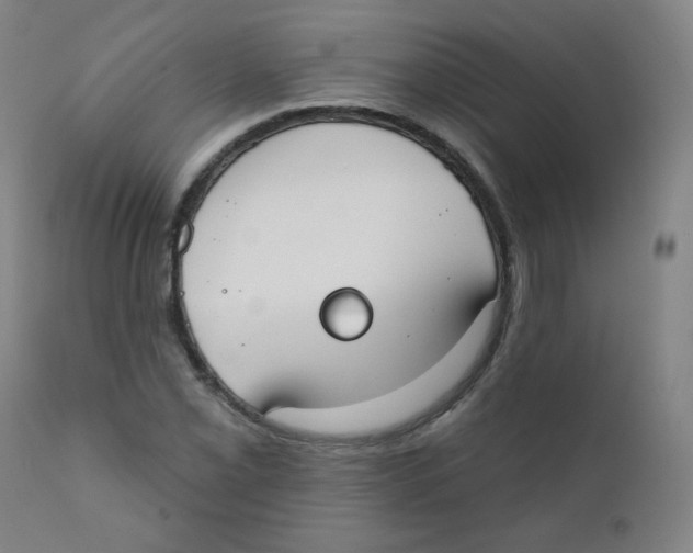 X0000111611069200908141248
