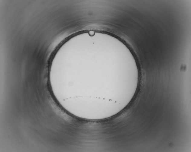 X0000111611075200908141248