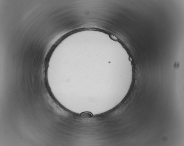 X0000111611076200908141248